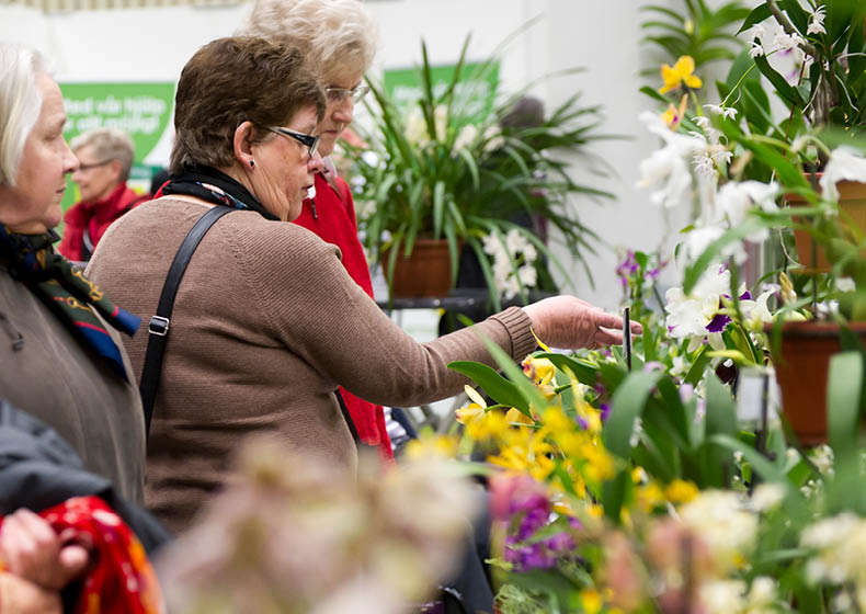 Föreläsning på Seniormässan